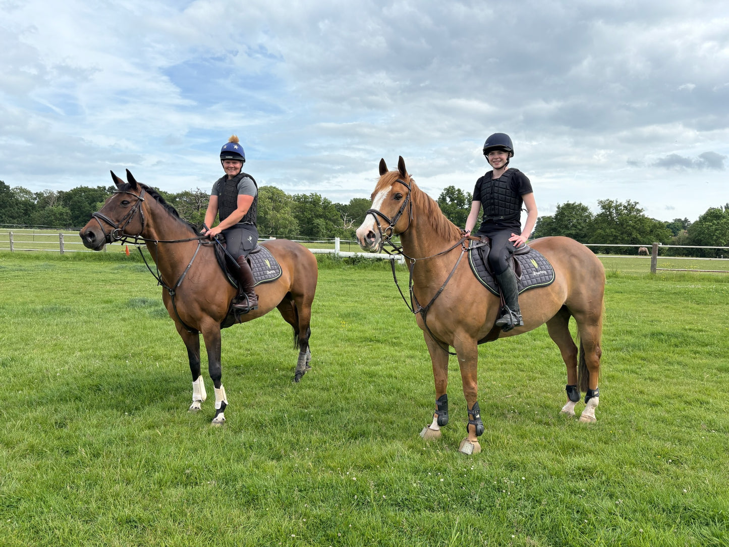 Zantalas Saddle Pad