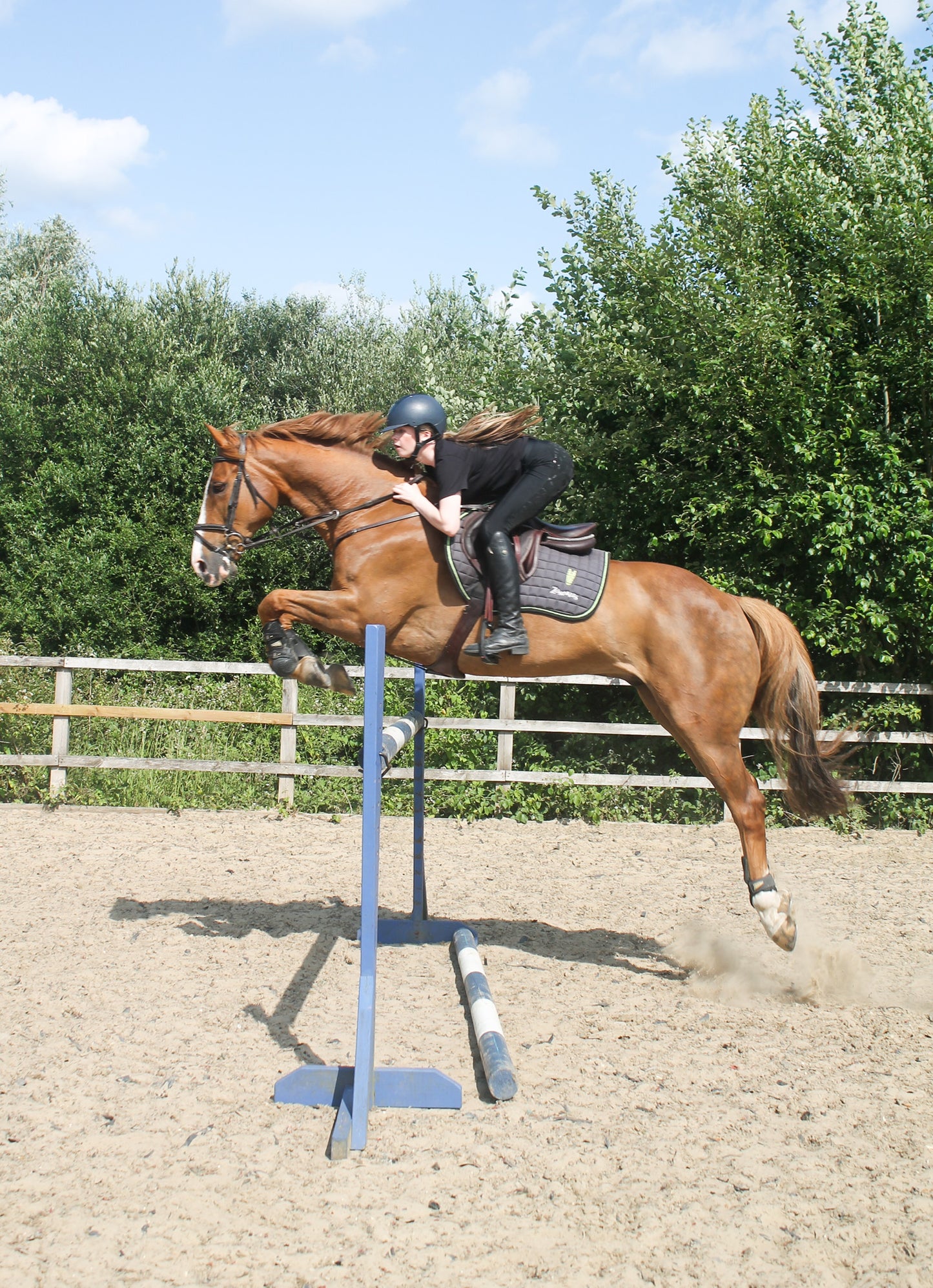 Zantalas Saddle Pad