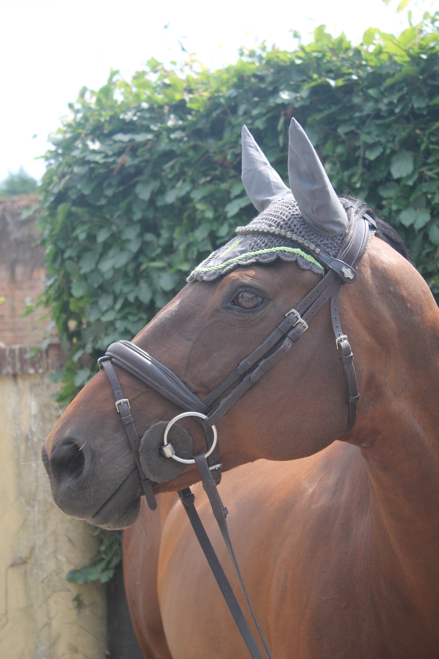 Zantalas Fly Hood