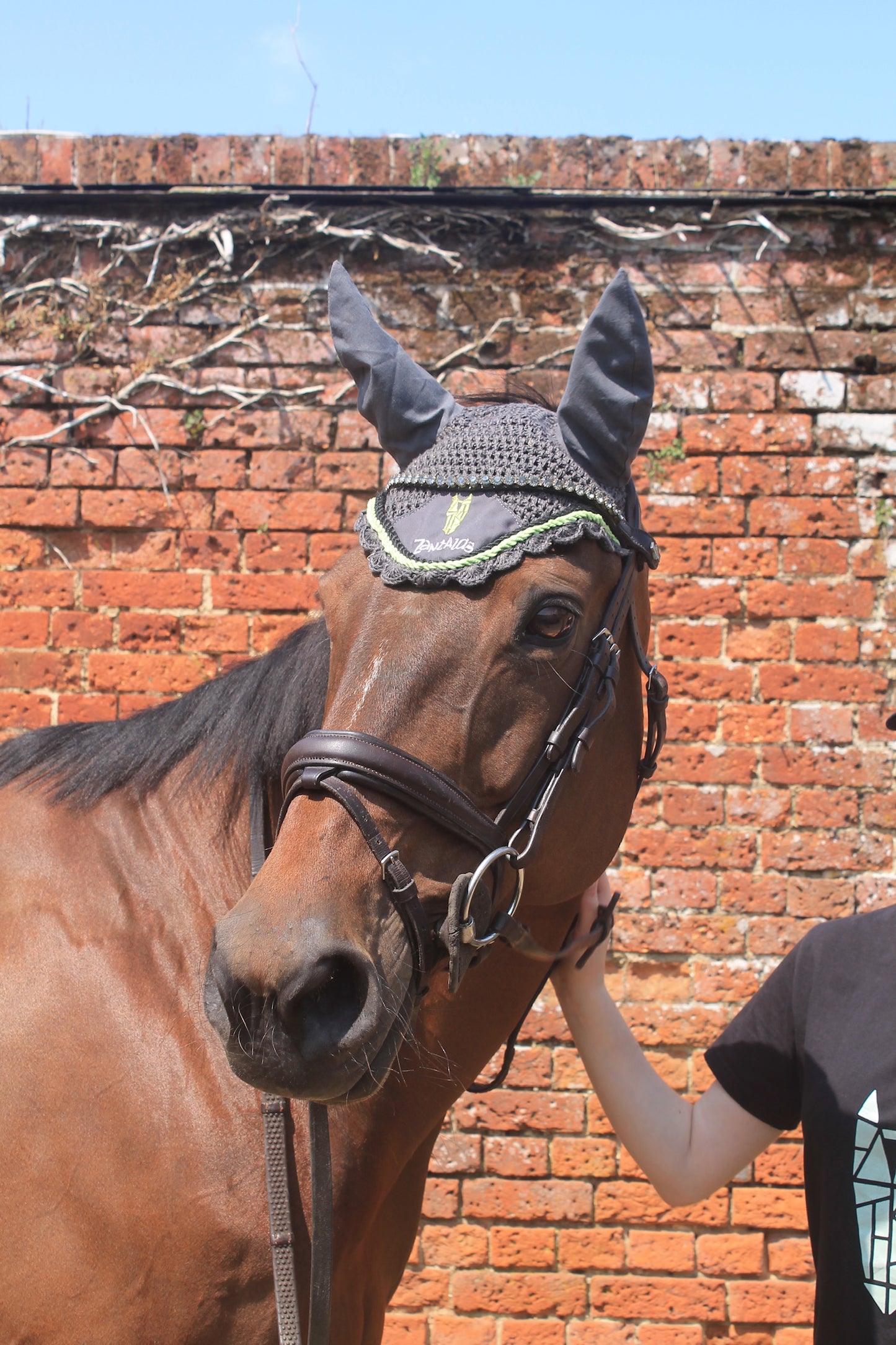 Zantalas Fly Hood