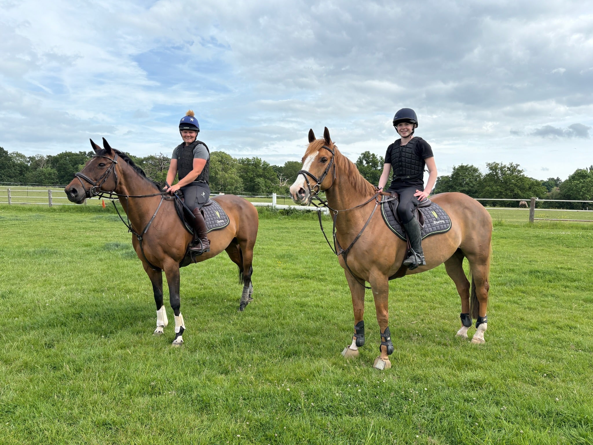 Zantalas Saddle Pad