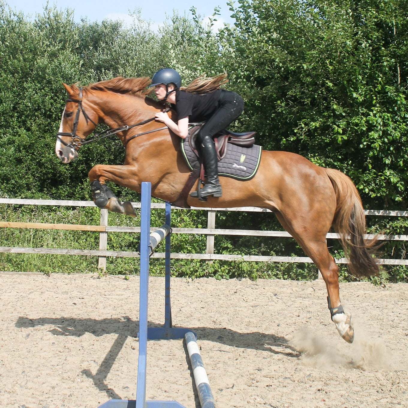 Horse and rider jumping over a large jump wearing a grey saddle pad with a silver green equestrian logo on it