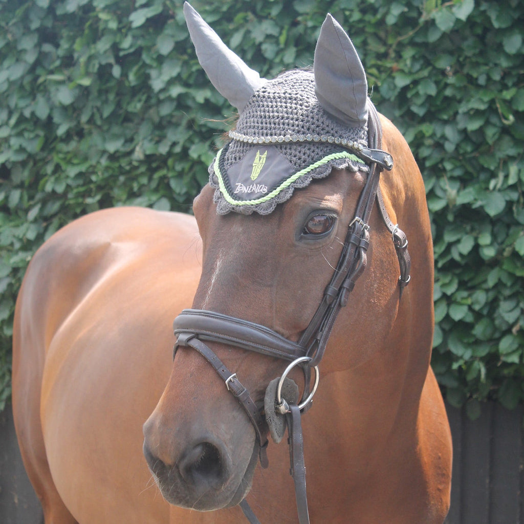Bay horse wearing a striking fly hood with a green equestrian logo on the brow