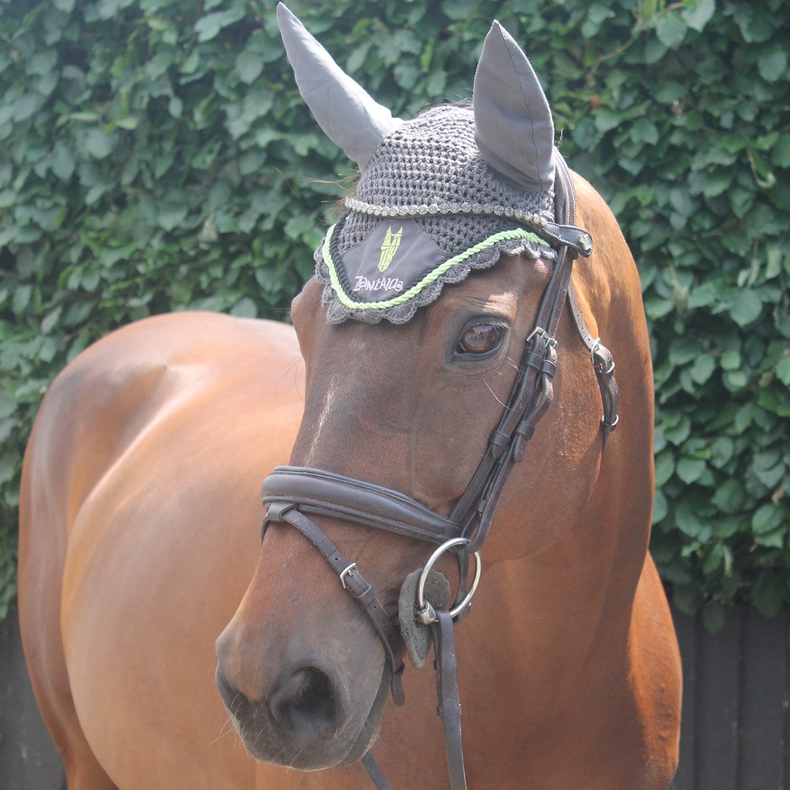 Bay horse wearing a striking fly hood with a green equestrian logo on the brow