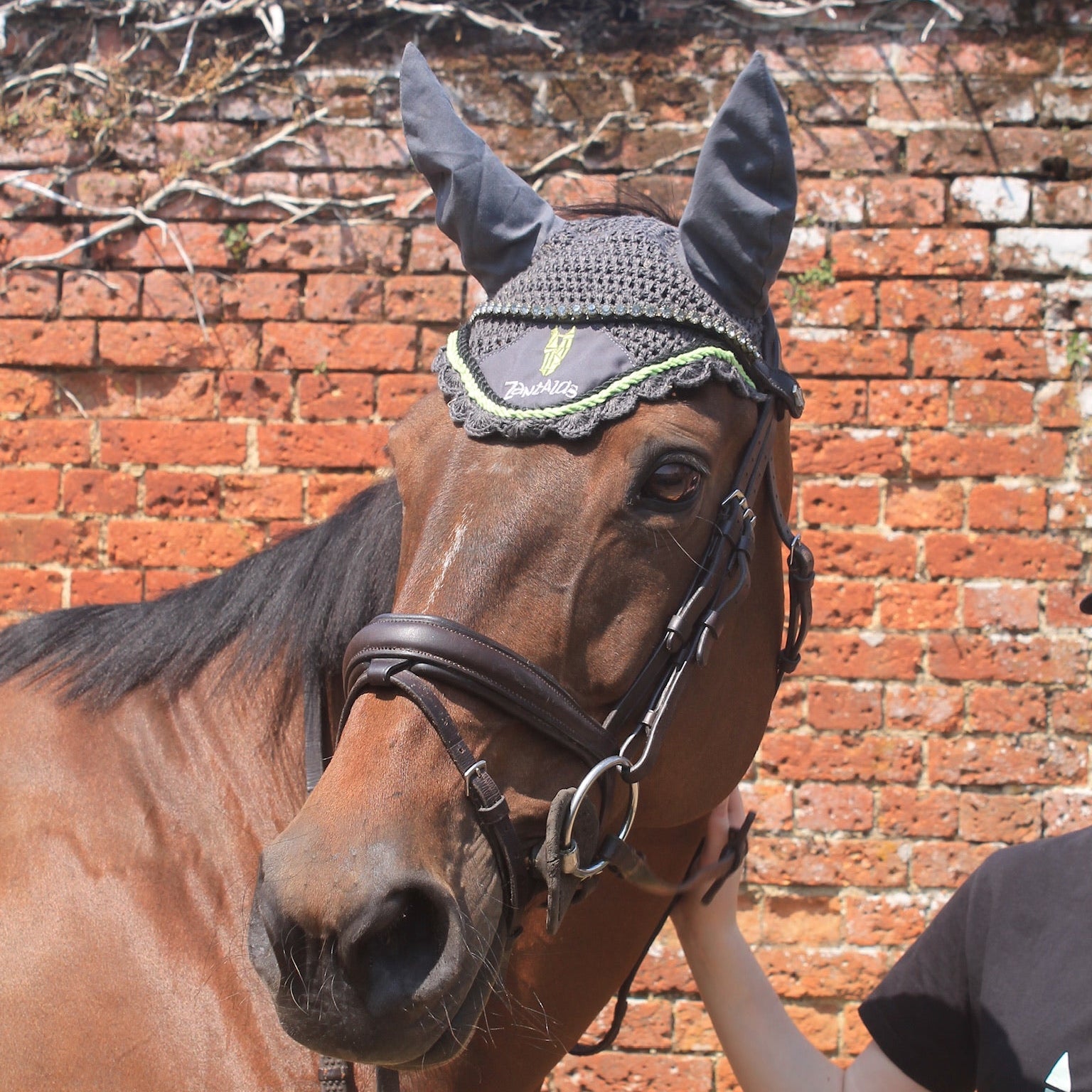 Horse wearing a head covering with horns against a brick wall