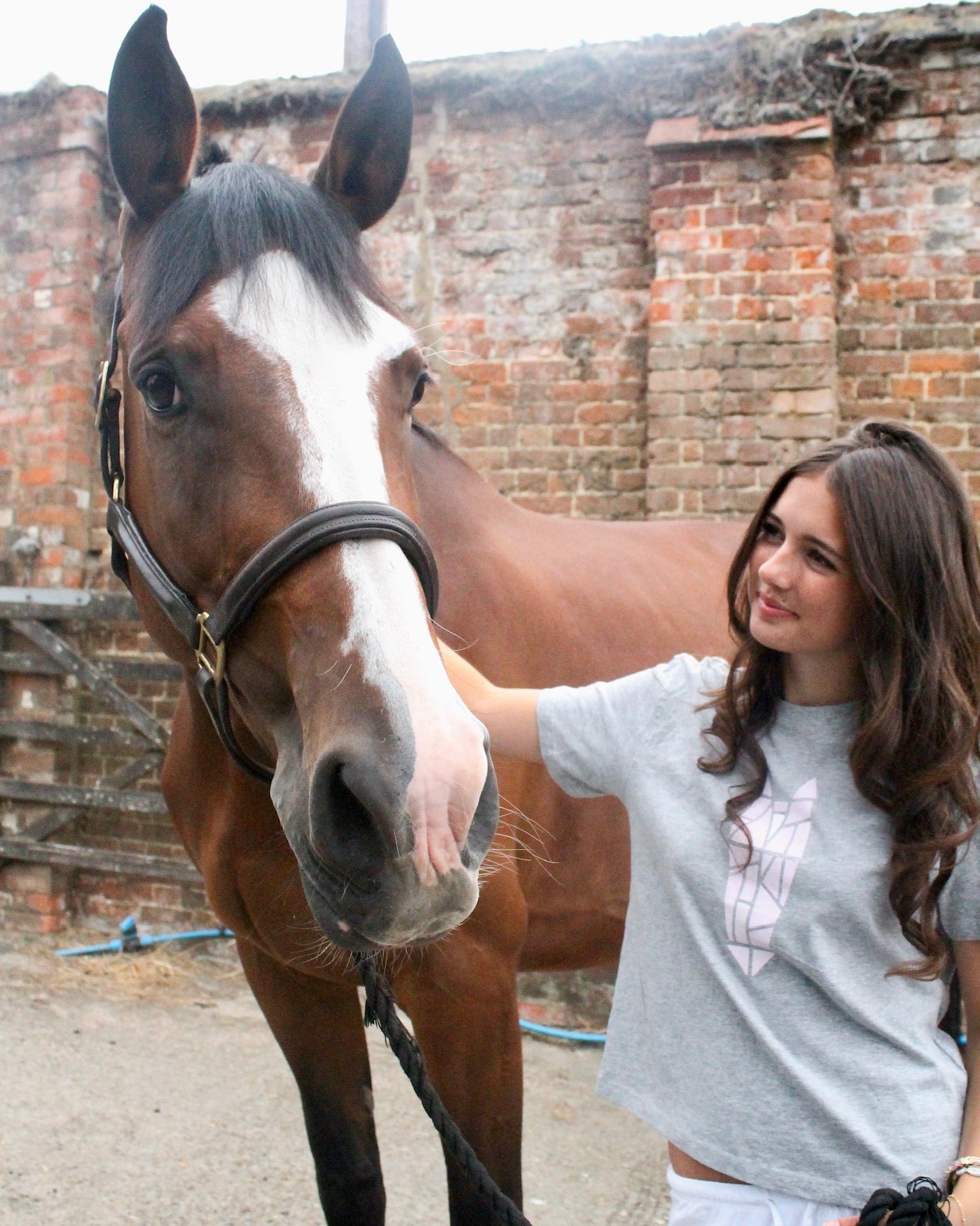 Woman petting a bay horse wearing a grey tshirt with a striking horse head logo icon on the front, in front of a brick wall.